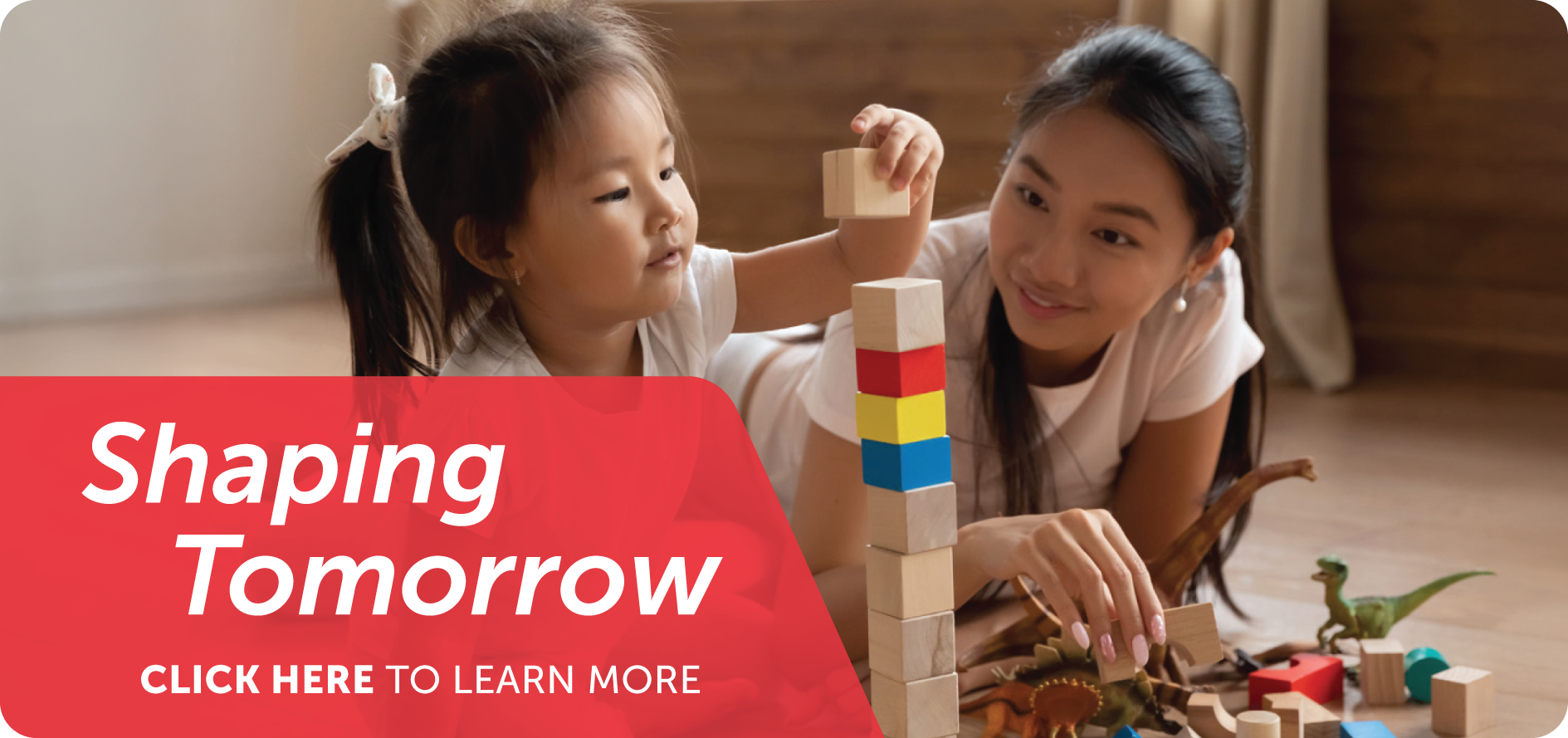 Capital Case - Shaping Tomorrow