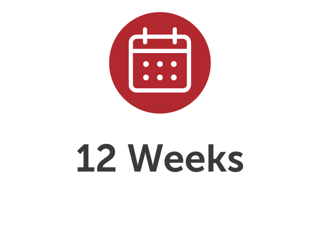 12 Weeks